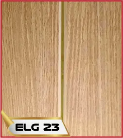 ELG 23